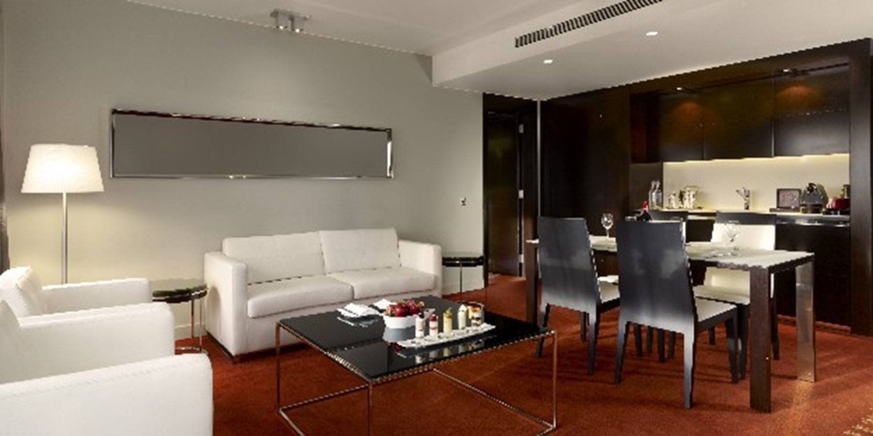 park plaza apartment open plan