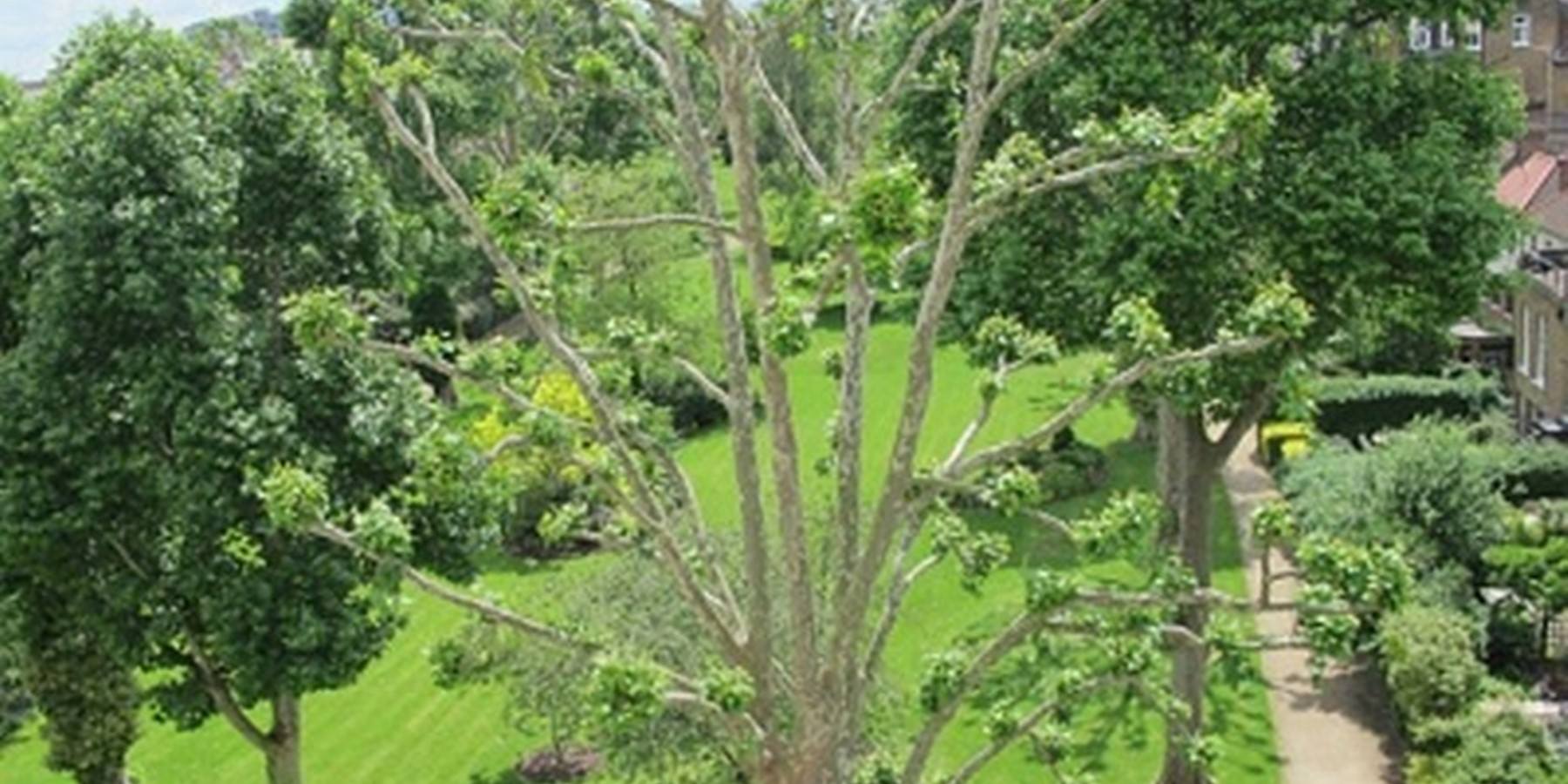 Europa House gardens