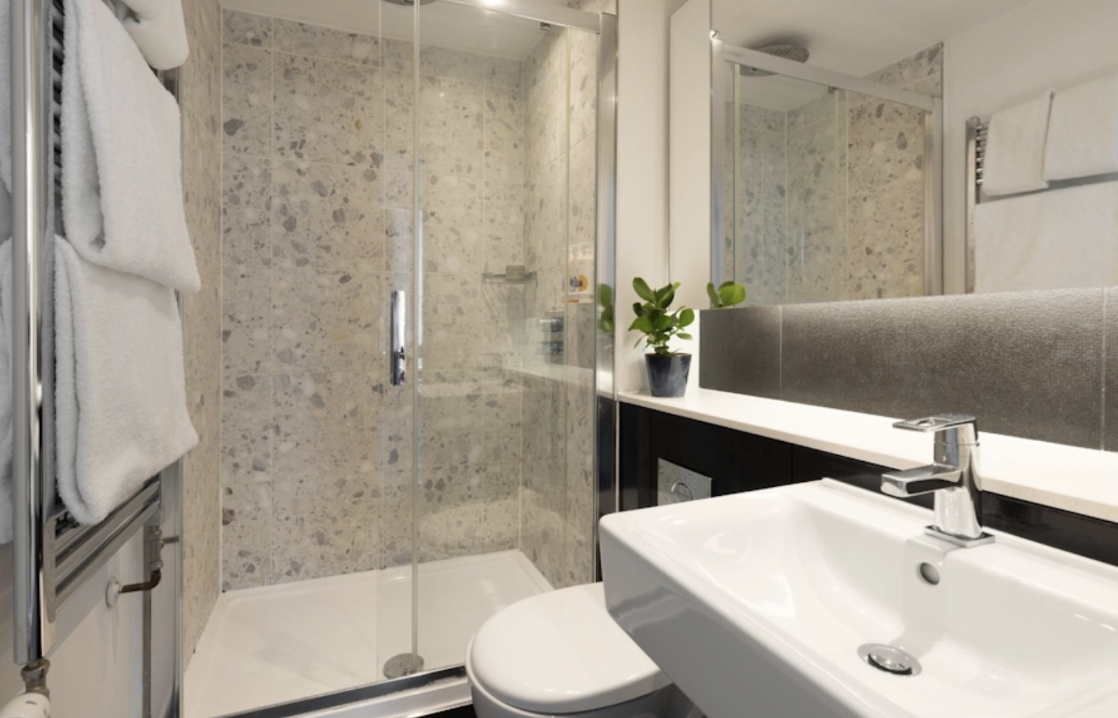 Native Hyde Park Sussex Gardens