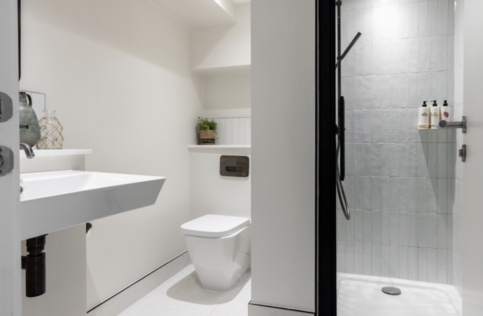 Native Hyde Park Sussex Gardens