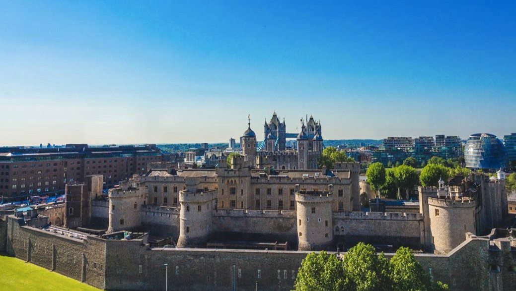 Tower Suites by Blue Orchid