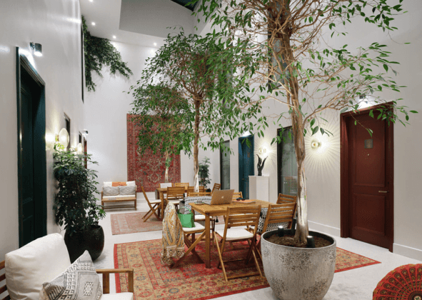 The Other House Kensington Atrium