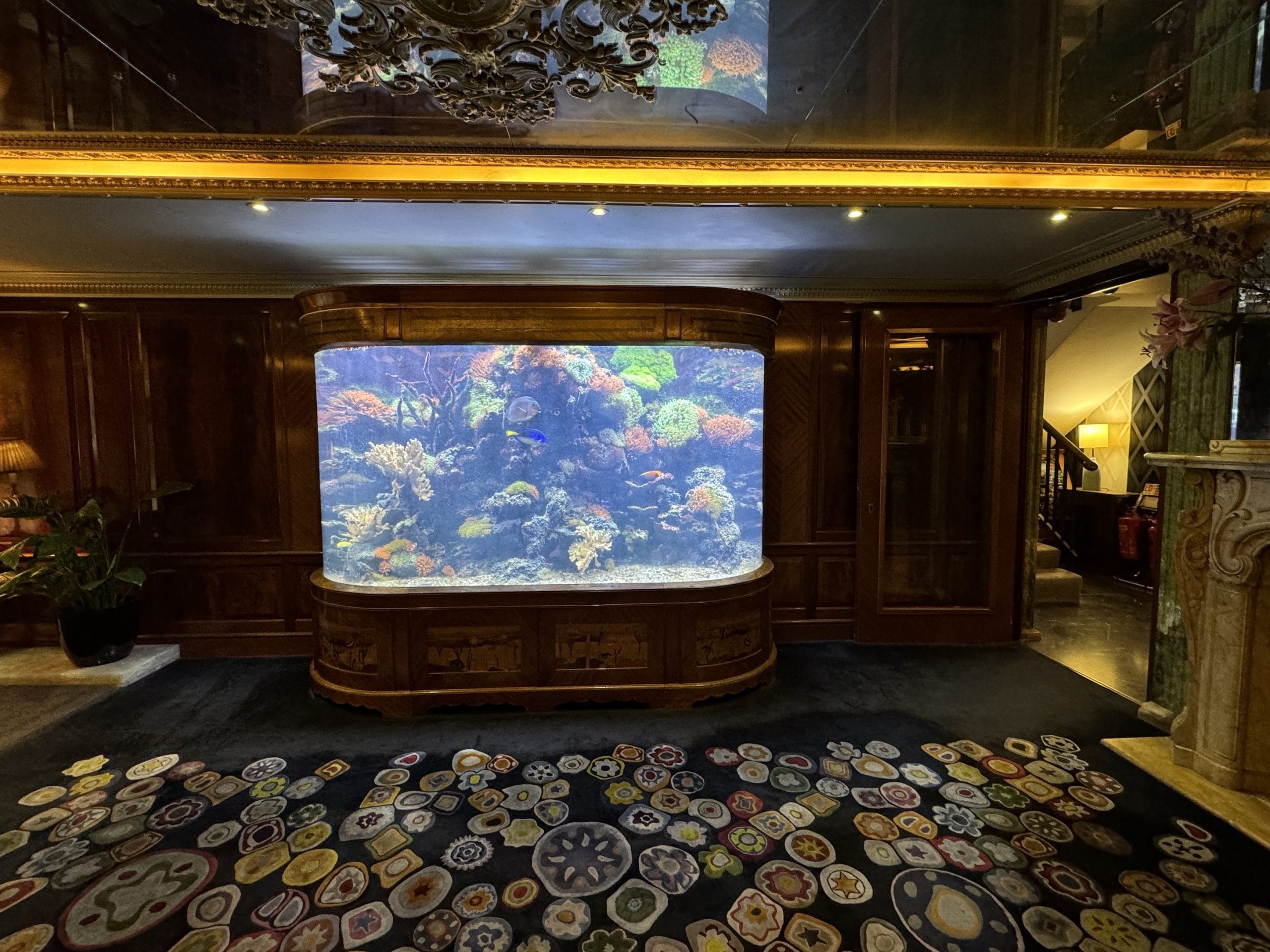 Mayfair House Apartments Foyer