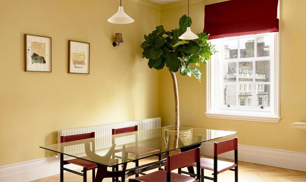 65 Harley St Marylebone