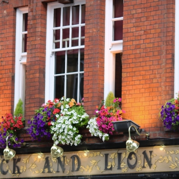 Cock and Lion pub London